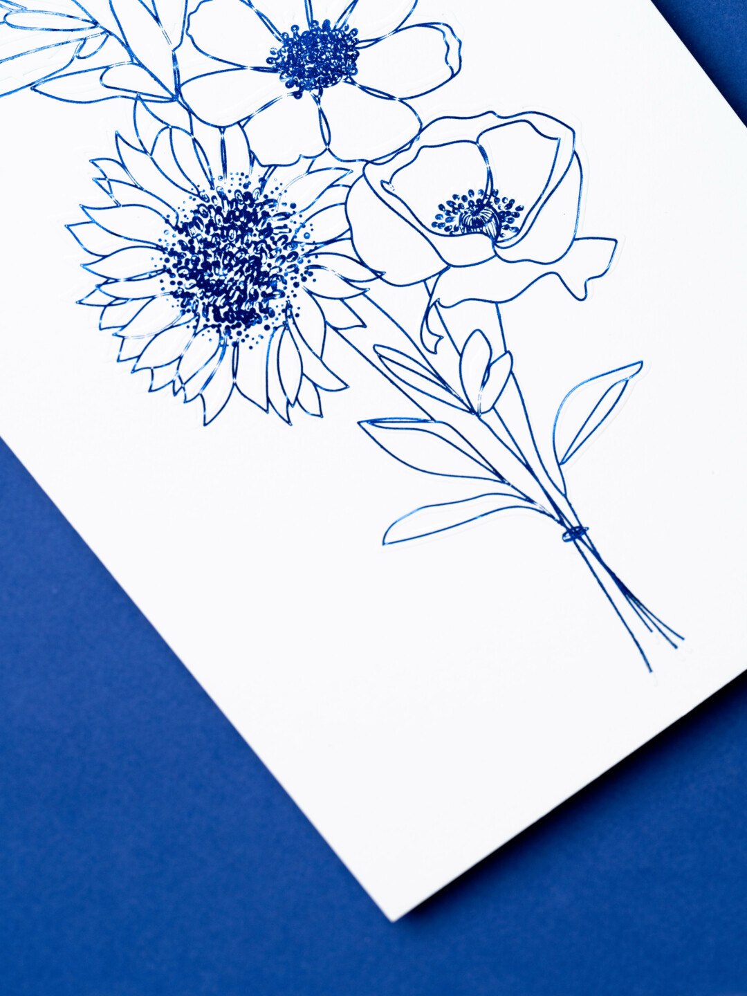 WhiteMirrorAgency-02479